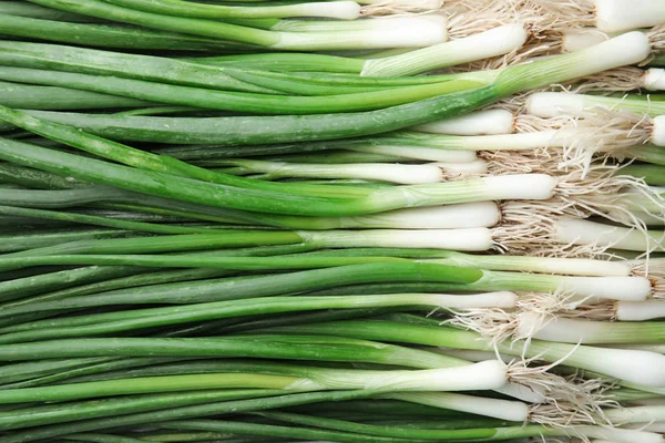 Arka plan olarak taze yeşil soğan