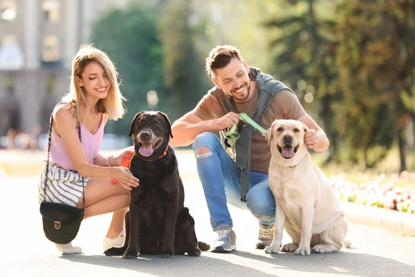 Niedliche Labrador Retriever Mit Besitzern Sonnigen Tagen Freien — Stockfoto