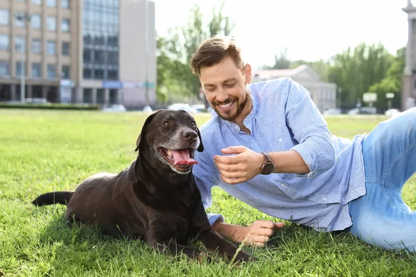 屋外のオーナーとかわいい茶色ラブラドル レトリーバー犬 — ストック写真