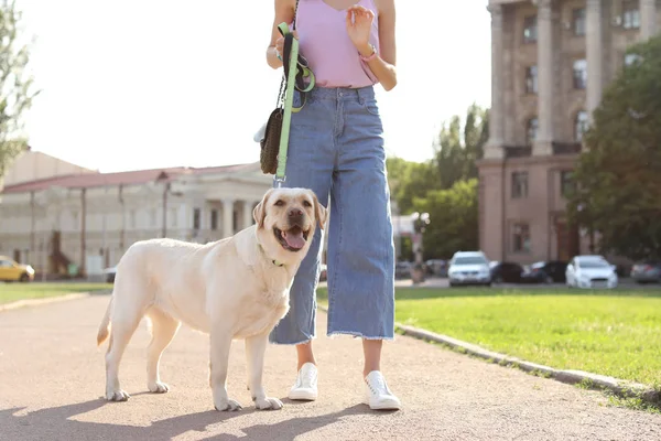 Sahibi onu sarı labrador geri almak açık havada yürüyüş