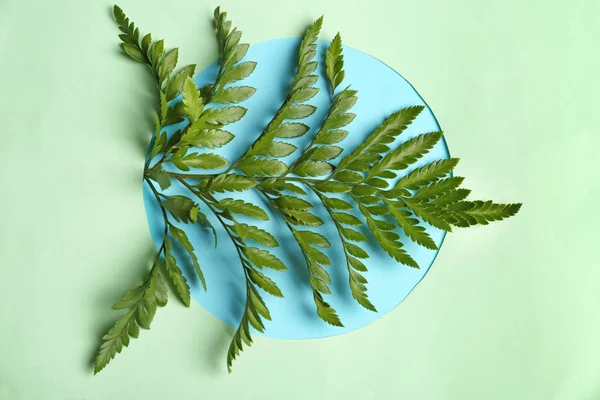 Güzel tropikal yaprak rengi arka planda, üstten görünüm