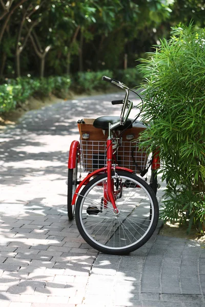 Bicicleta Vermelha Com Cesta Estacionada Caminho — Fotografia de Stock