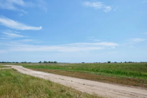 Countryside Droga Zielone Pola Słoneczny Dzień — Zdjęcie stockowe