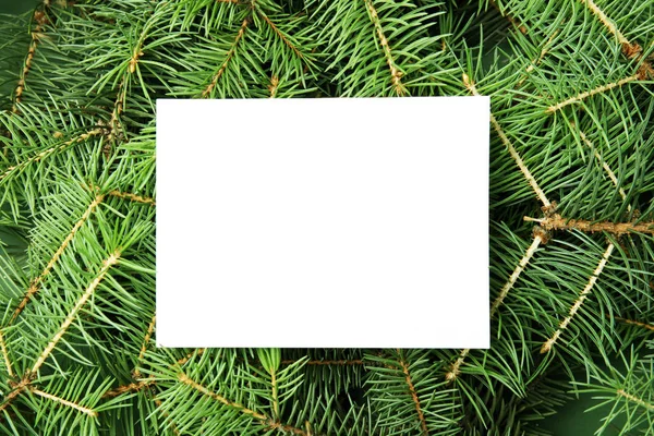 Blank card on branches of Christmas tree, top view