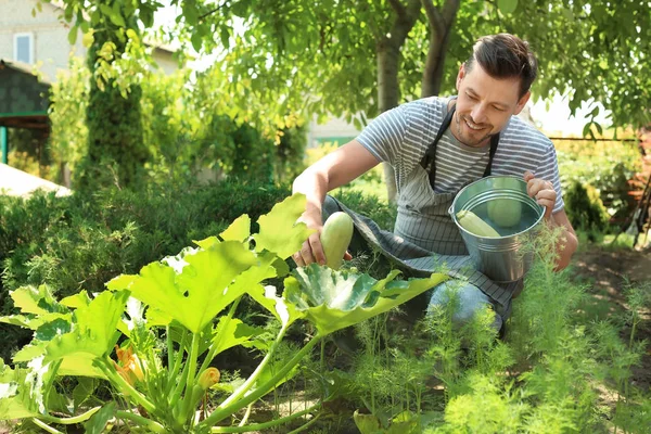 Hombre Trabajando Jardín Día Soleado — Foto de Stock