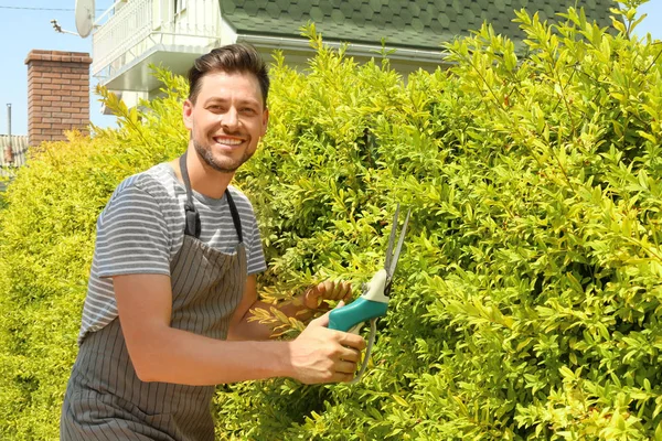 Hombre Recortar Arbustos Jardín Día Soleado — Foto de Stock