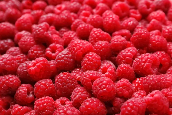 Ripe Aromatic Raspberries Background Stock Image