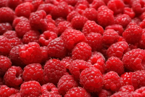 Ripe Aromatic Raspberries Background Stock Photo