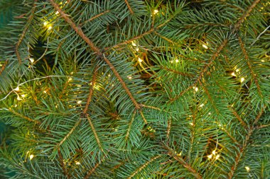 Arka plan olarak çam dalları üzerinde parlayan Noel çelenk