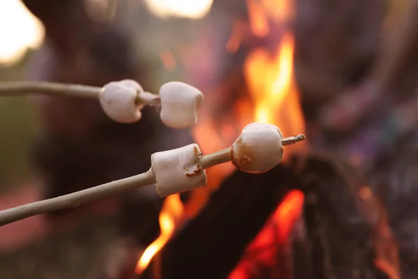 Gebratene Marshmallows Stock Vor Verschwommenem Hintergrund Nahaufnahme Sommerlager — Stockfoto