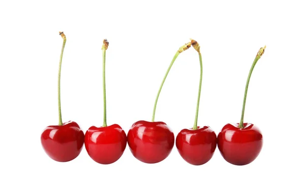 Cerises Rouges Douces Sur Fond Blanc — Photo