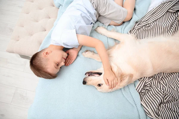 Niedliches Kleines Kind Mit Seinem Haustier Hause Bett — Stockfoto