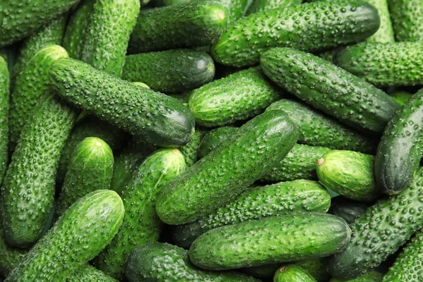 Ripe Fresh Cucumbers Background — Stock Photo, Image