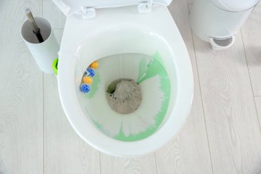 Modern banyo içinde deterjan ile seramik klozet