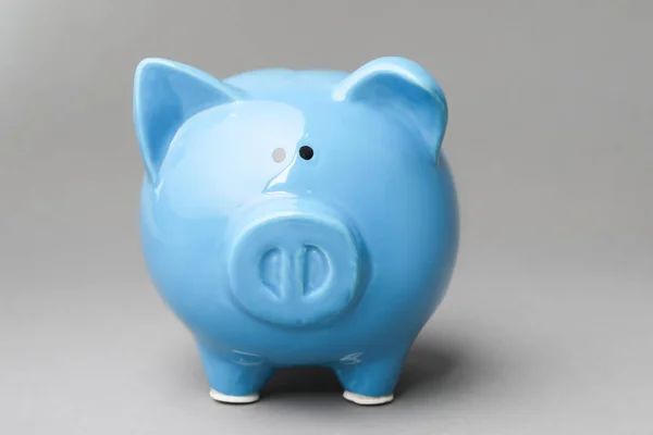 Schattige Blauwe Piggy Bank Grijze Achtergrond — Stockfoto