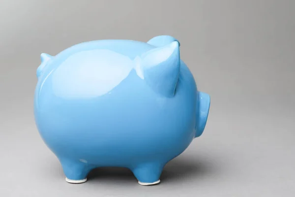 Schattige Blauwe Piggy Bank Grijze Achtergrond — Stockfoto