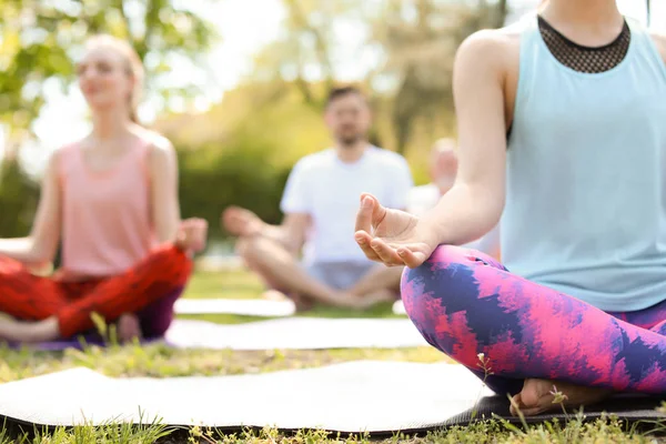 Grupul Oameni Care Practică Yoga Parc Ziua Însorită — Fotografie, imagine de stoc