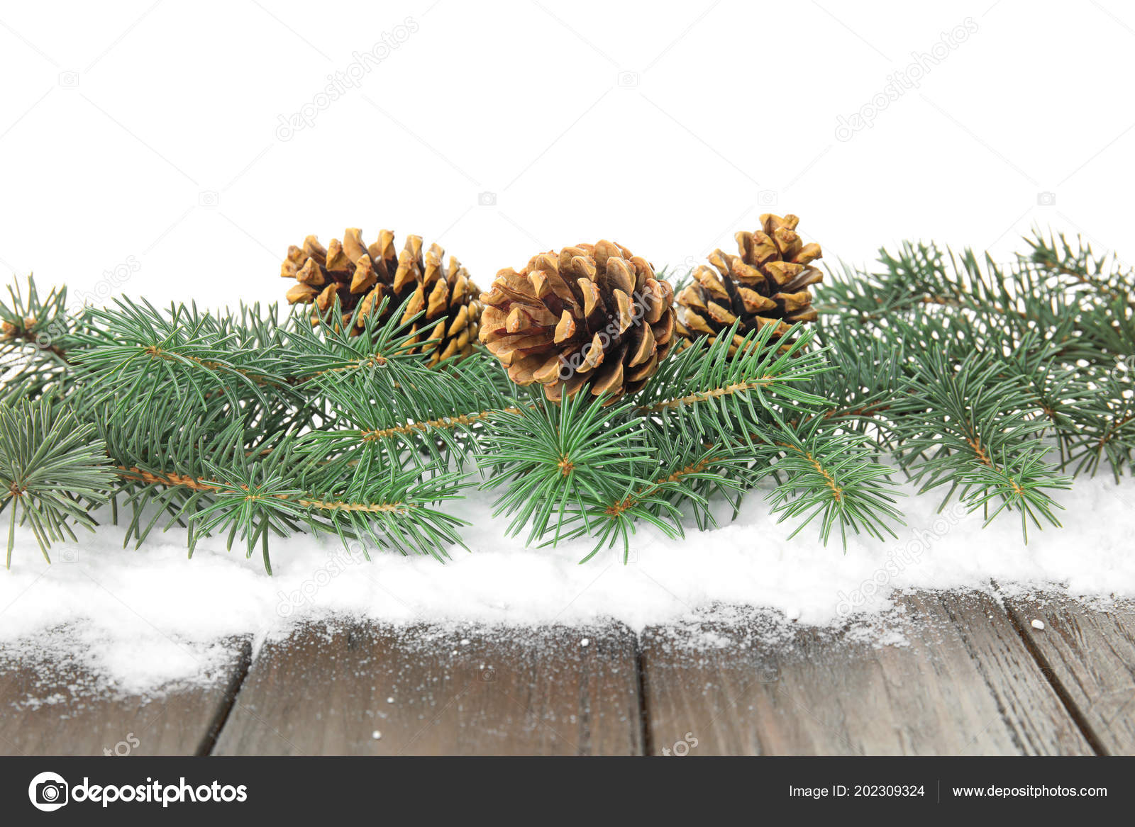 Christmas Tree Branches Pine Cones Snow Table White Background Christmas Tree Branches Pine Cones Snow Table White Background