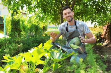 Man working in garden on sunny day clipart