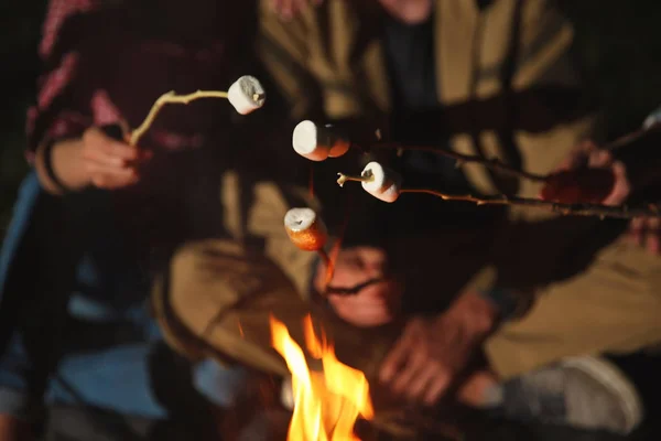 Friends Frying Marshmallows Bonfire Night Closeup Camping Season — Stock Photo, Image