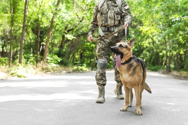 Hombre Uniforme Militar Con Perro Pastor Alemán Aire Libre — Foto de Stock