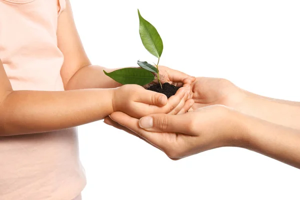 Mujer Hijo Sosteniendo Tierra Con Planta Verde Las Manos Sobre — Foto de Stock