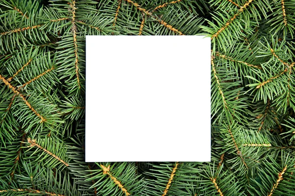 Blank Paper Sheet Christmas Tree Branches Background — Stock Photo, Image