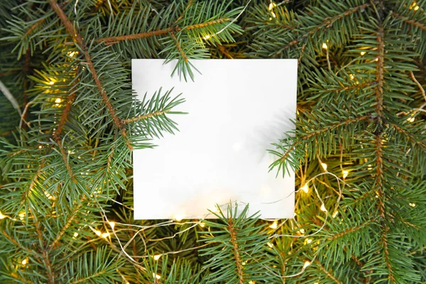 Foglio Carta Bianca Con Luci Natale Rami Abete Come Sfondo — Foto Stock
