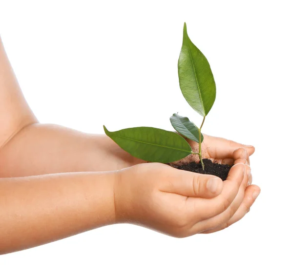 Enfant Tenant Terre Avec Plante Verte Dans Les Mains Sur — Photo