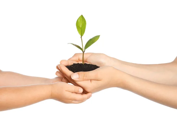 Vrouw Bodem Met Groene Plant Haar Kind Doorgeven Met Witte — Stockfoto