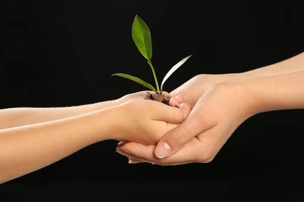 女性と彼女の子供の手黒の背景に緑の植物が付いている土を保持しています 家族の概念 — ストック写真