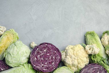 Gri arka plan üzerinde farklı lahana ile düz yatıyordu kompozisyon