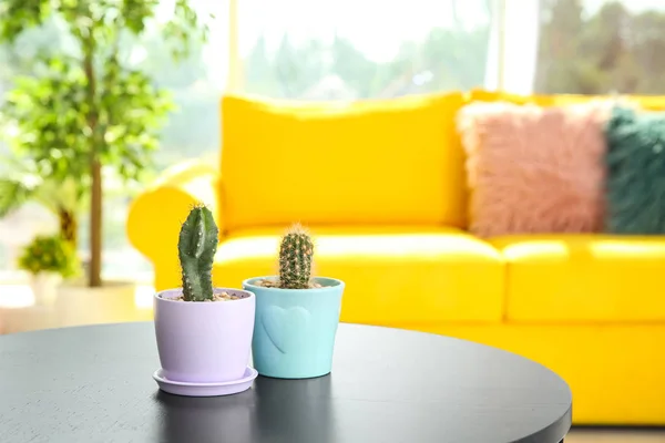 Mooie Cactussen Bloempotten Tafel Binnenshuis — Stockfoto