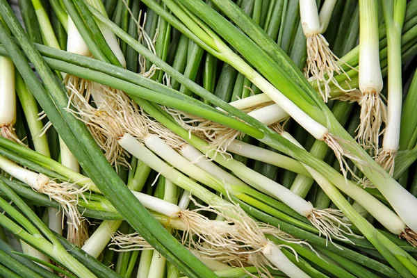 Cebolla Verde Fresca Como Fondo —  Fotos de Stock