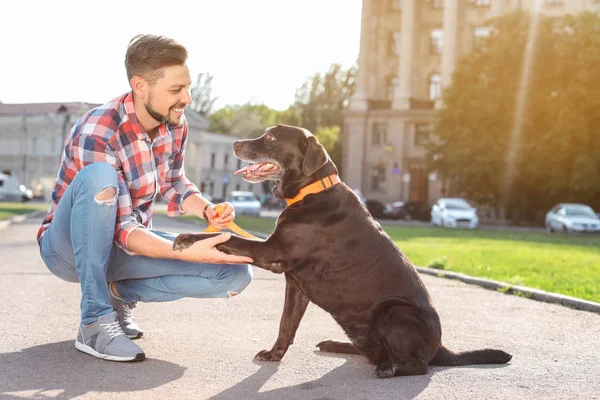 屋外のオーナーとかわいい茶色ラブラドル レトリーバー犬 — ストック写真