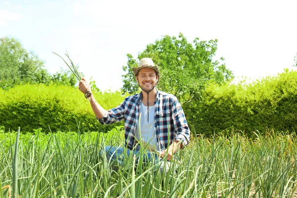 Man Aan Het Werk Tuin Zonnige Dag — Stockfoto