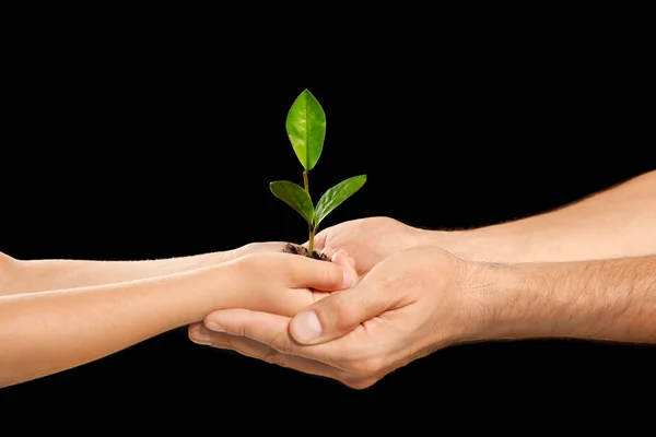 Man His Child Holding Soil Green Plant Hands Black Background — Stock Photo, Image