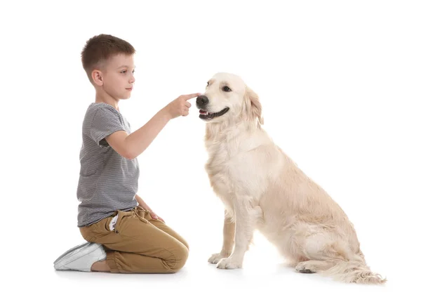 Criança Bonito Com Seu Animal Estimação Fundo Branco — Fotografia de Stock