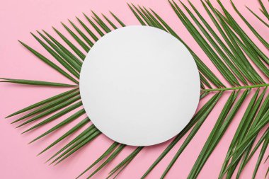 Renk arka plan, üstten görünüm üzerinde tropikal yaprak ile güzel kompozisyon