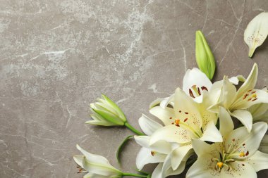 Lily çiçekler gri arka plan üzerinde düz yatıyordu kompozisyon