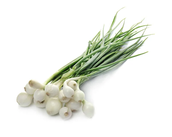 Fresh Green Onion White Background — Stock Photo, Image