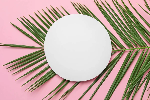 Renk arka plan, üstten görünüm üzerinde tropikal yaprak ile güzel kompozisyon