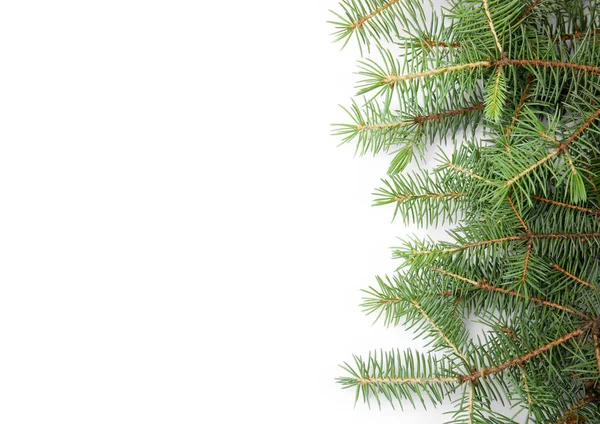 Ramos Árvore Natal Fundo Branco — Fotografia de Stock