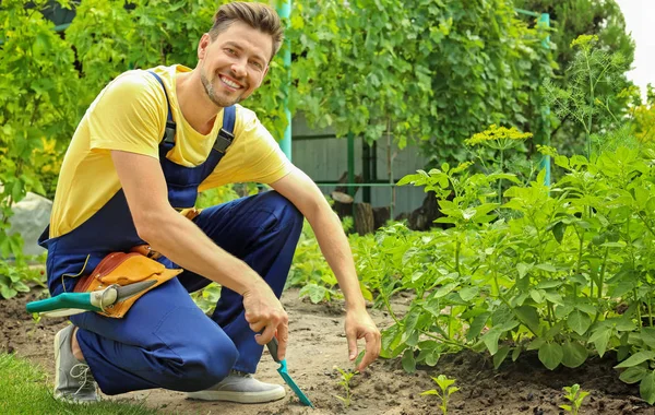 Bahçede güneşli günde çalışan adam