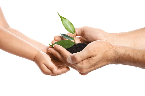 Hombre Pasando Tierra Con Planta Verde Hijo Sobre Fondo Blanco — Foto de Stock