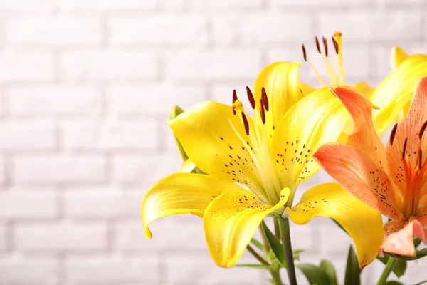 Vackra Blommande Lily Blommor Tegel Vägg Bakgrund — Stockfoto