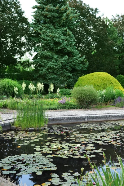 美丽的池塘与盛开的睡莲在花园里 — 图库照片