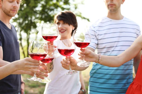 Young People Glasses Wine Outdoors Summer Picnic — Stock Photo, Image