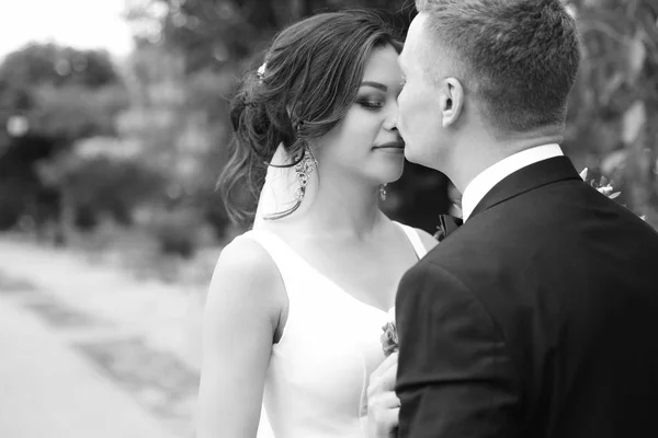 Feliz Recém Casados Beijando Livre Efeito Preto Branco — Fotografia de Stock