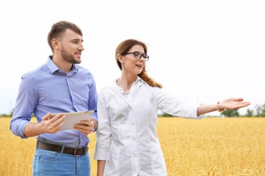 Genç Ziraat tahıl alanda. Tahıl tarım